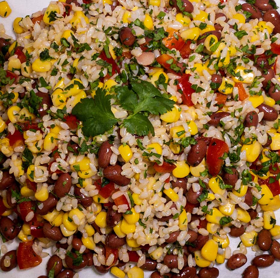 Salad Box – Large – Brown Rice (GF, DF, Ve)